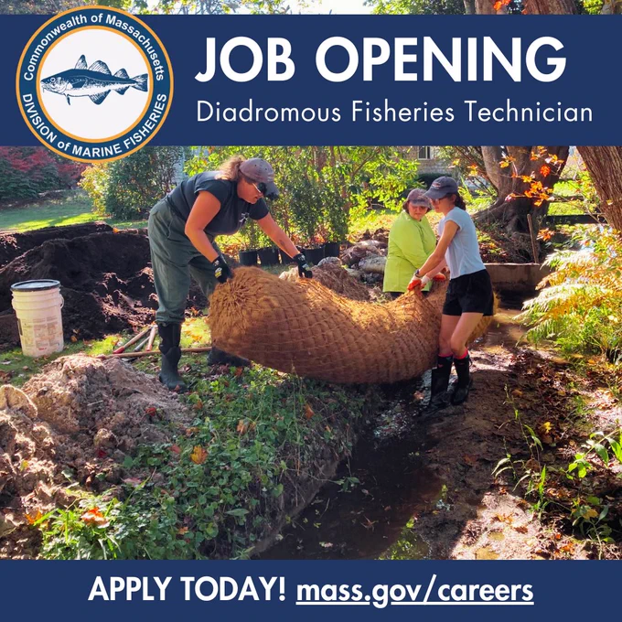 A crew working on stream restoration. 