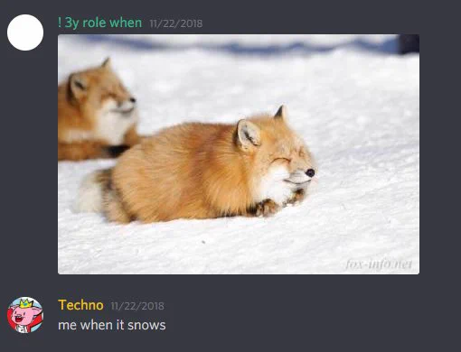 Screenshot of a Discord exchange sent on November 22, 2018, which reads:

! 3y role when: [Photo of two red foxes laying in a sunny field of snow with their paws tucked underneath themselves, with their eyes closed]

Techno: me when it snows