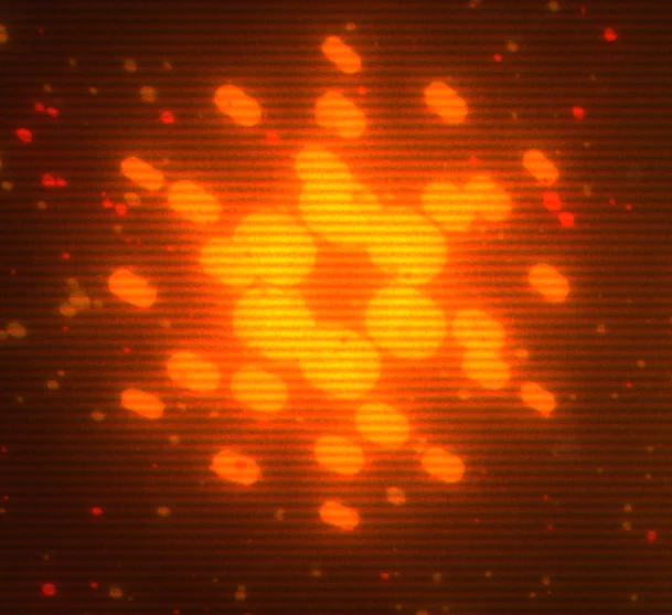 Cardano logo as seen on clg.wtf