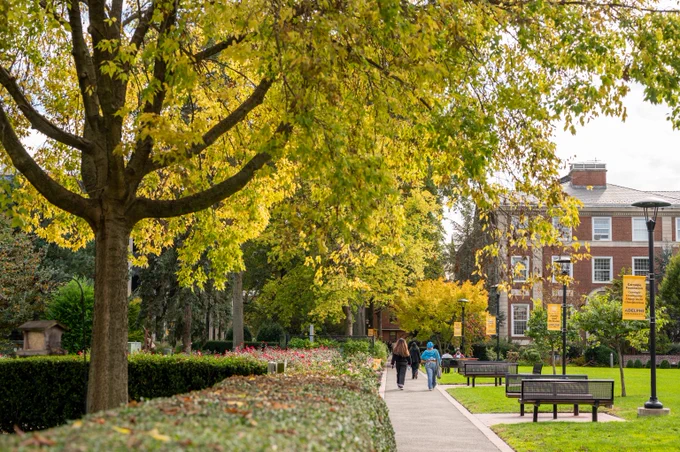 A campus pathway in fall, gold leaves on the trees, students walking