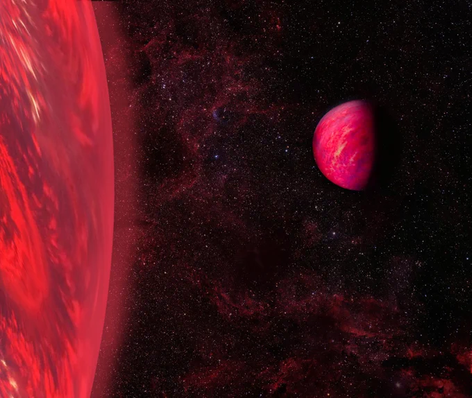 An artist's interpretation of a pair of brown dwarf stars. The brown dwarf star on the left appears so large that only a sliver of its red and brown swirled surface completely fills the left side of the frame. A pale red haze appears like an atmosphere around it, with pale red filaments extending outward from it. The brown dwarf star to the right appears smaller and fits easily in the frame, its red surface tinged with purple hues and illuminated only on the left side, which faces the larger brown dwarf star. Credit: Billy Pendrill. 