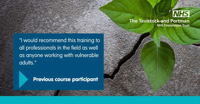 Background image has a plant growing through a crack in concrete. There is copy that says 'I would recommend this training to all professionals in the field as well as anyone working with vulnerable adults.' which is a testimonial from a previous course participant.