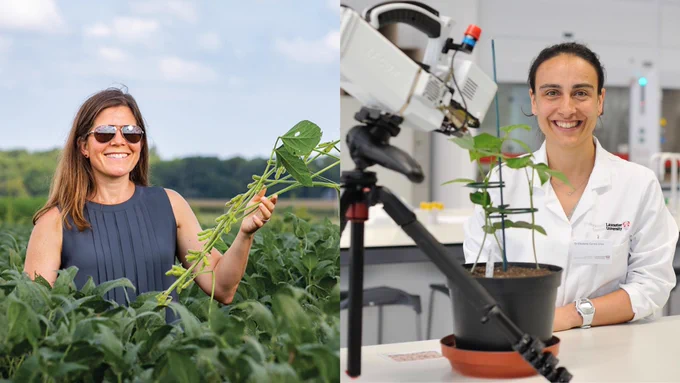 Two pictures side-by-side. The left picture is of a woman wearing sunglasses holding a leafy green plant surrounded by green plants tall enough to reach her waist. The photo on the right is a woman in a lab coat sitting slightly behind a plant and an instrument measuring the plant.