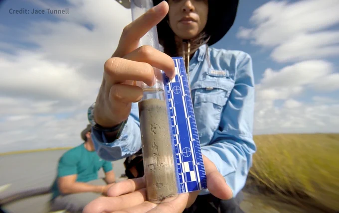 A person holds up a tube filled with sediment next to a ruler close to the camera. Another person, grass and water are in the background.