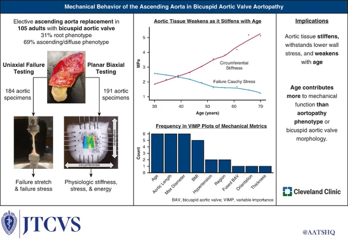 In total, 105 adults undergoing elective ascending aortic replacement in the setting of bicuspid aortic valve were enrolled. The aorta was resected en bloc and cut into specimens for uniaxial or biaxial testing from the aortic root, proximal, middle, and/or distal ascending regions. Age, ascending aortic length, and maximum ascending aortic diameter appeared the most frequently in variable importance plots denoting contribution to models of physiologic and failure metrics. We conclude that aortic tissue stiffens, withstands lower wall stress, and weakens with age. Bicuspid aortopathy phenotype and valve morphology were not associated with mechanical behavior. VIMP, Variable importance.