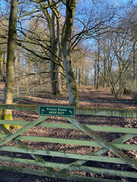 View of a peaceful forest with bare trees shadowed in sunlight, featuring a gate with a 'Private Land' sign attached.