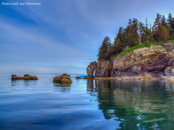 Rocks jutting out of the water next to a rocky cliff with trees on top.