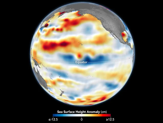 Globe centered on the Pacific Ocean. The west coast of North America is barely visible on the top right and Australia on the bottom left. The globe shows sea surface height anomaly in centimeters. Blue indicates a negative anomaly and yellow, orange and red indicate a positive anomaly. There is a dark blue band along the equator and patches of red and orange above it and at the very bottom of the globe.