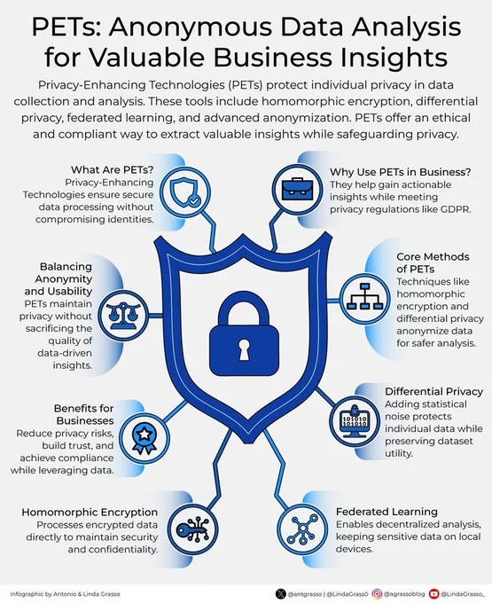 A detailed infographic explaining Privacy-Enhancing Technologies (PETs) for business data analysis. The design features a central blue shield with a padlock, surrounded by eight interconnected circular nodes containing icons and explanatory text. The nodes cover topics including "What Are PETs?", "Why Use PETs in Business?", "Core Methods", "Differential Privacy", "Federated Learning", "Homomorphic Encryption", "Benefits for Businesses", and "Balancing Anonymity and Usability". Each node includes brief descriptions of how PETs protect privacy while enabling valuable data analysis.