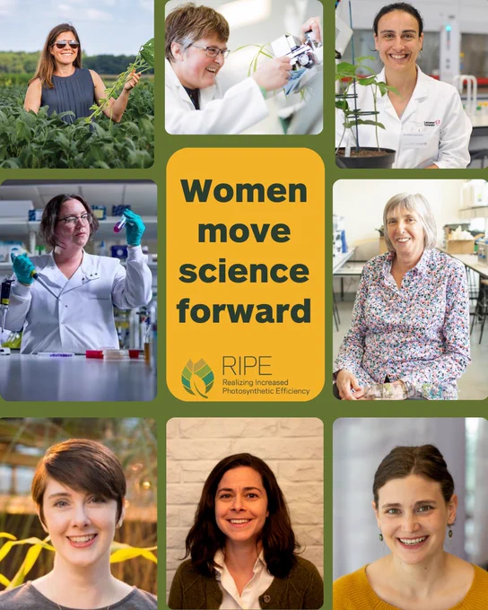 A collage of eight pictures of women scientists against a background of green. There is a yellow block in the center with dark green text reading Women move science forward. Under the text is the Realizing Increased Photosynthetic Efficiency Project logo.