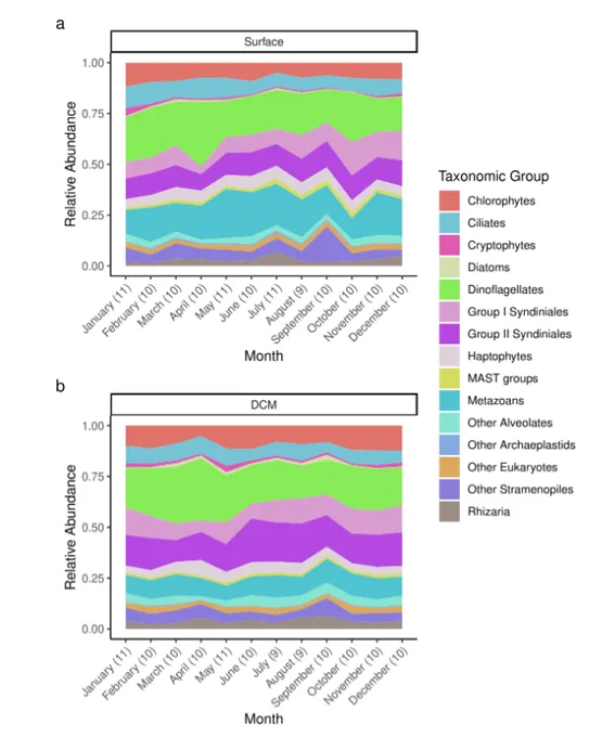 Major taxonomic groups comprising the protistan communities observed each month at the SPOT station from 2003 to 2018. The taxonomic groups were manually curated. 