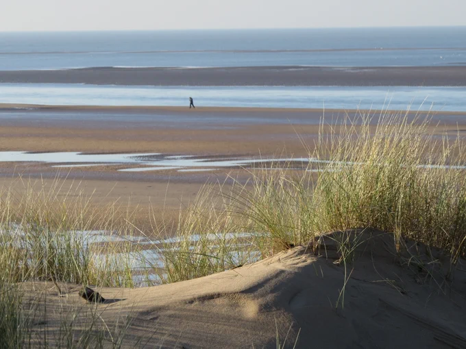 Picture shows the sea with a person walking along the sandy beach in the far distance, which the sea has recently receded from. With a dune in the foreground with Marram grass that binds the sand.