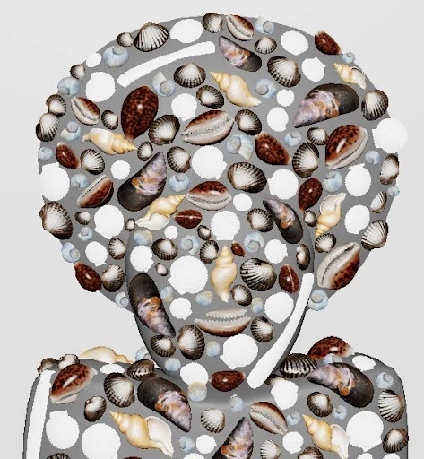 Image of a humanoid bust with hair, entirely made up of white and cream and brown seashells of various shapes and sizes against a gray base.
