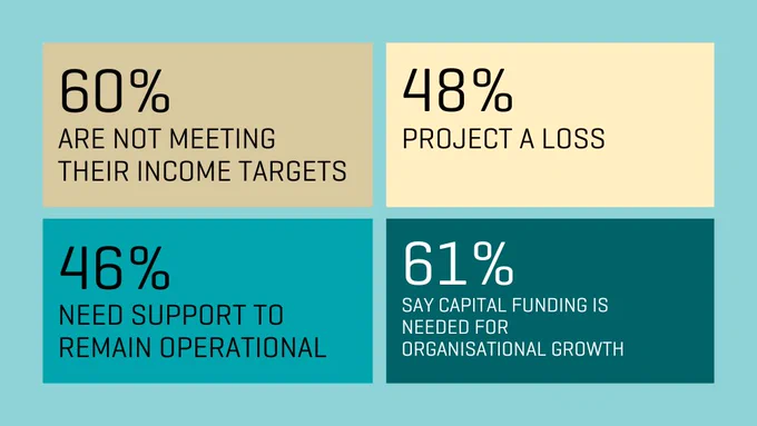 Four boxes with text reading "60% are not meeting their income targets / 48% project a loss / 46% need support to remain operational / 61% say capital funding is needed for organisational growth".