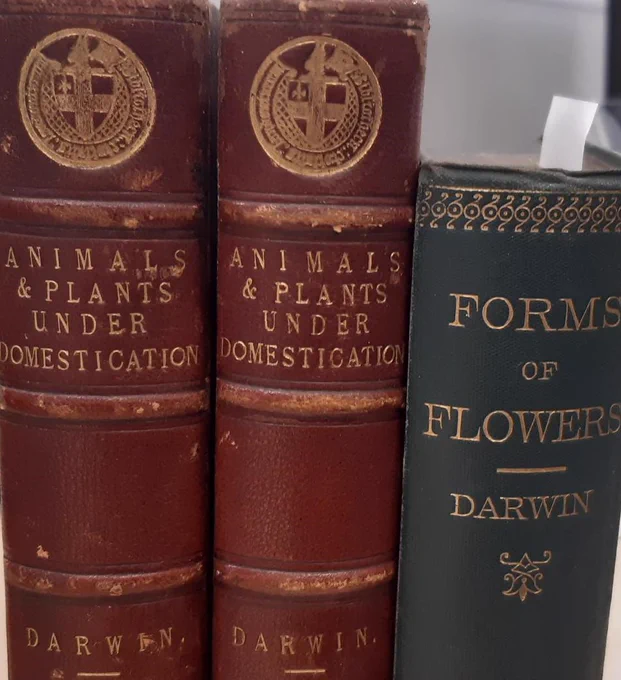 Bookends of Animals & Plants under Domestication (1868) & Forms of Flowers (1877)