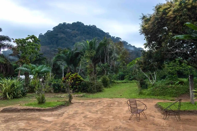 A photograph of a lush garden with tropical plants and two metal chairs, leading towards a forest-covered hill under a cloudy sky.