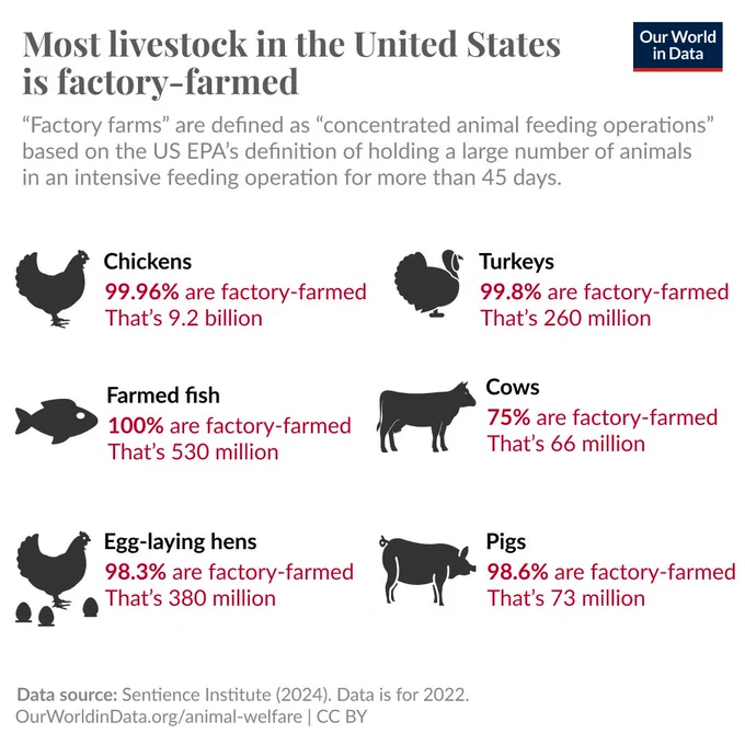 An infographic titled "Most livestock in the United States are factory-farmed." It lists the percentages and numbers of animals raised in factory farms, defined by the EPA as operations with intensive feeding for over 45 days. Chickens: 99.96%, 9.2 billion; Turkeys: 99.8%, 260 million; Farmed fish: 100%, 530 million; Cows: 75%, 66 million; Egg-laying hens: 98.3%, 380 million; Pigs: 98.6%, 73 million. Data source: Sentience Institute (2024), with data from 2022.
