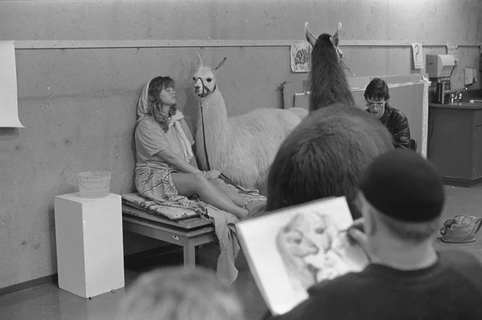 A black and white image of a woman sitting next to a white llama, while other students draw her.