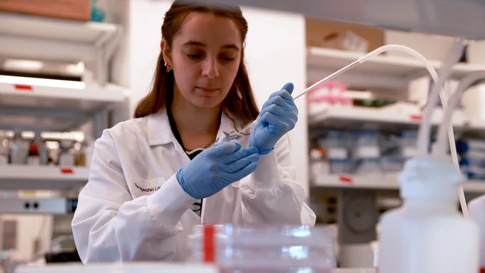 Blanka Bordas, a translational biology, medicine, and health graduate student in a lab at Fralin Biomedical Research Institute at VTC.
