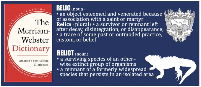 Image of the Merriam Webster Dictionary "America's Best Selling Dictionary" with the common definitions of 

RELIC: (noun) 
• an object esteemed and venerated because of association with a saint or martyr
Relics (plural) • a survivor or remnant left after decay, disintegration, or disappearance; • a trace of some past or outmoded practice, custom, or belief

WITH AN IMAGE OF A HUMAN SKULL WEARING A METAL CROWN as an example of a RELIC

and

RELICT: RELICT (noun) 
• a surviving species of an other-
  wise extinct group of organisms
• a remnant of a formerly widespread 
  species that persists in an isolated area

With an image of the TUATARA, a reptile that despite its close resemblance to a lizard is actually the last survivor of a distinct lineage, the order Rhynchocephalia.