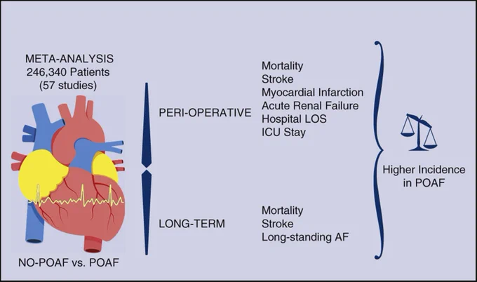 Outcomes of POAF compared with no POAF in cardiac surgery.