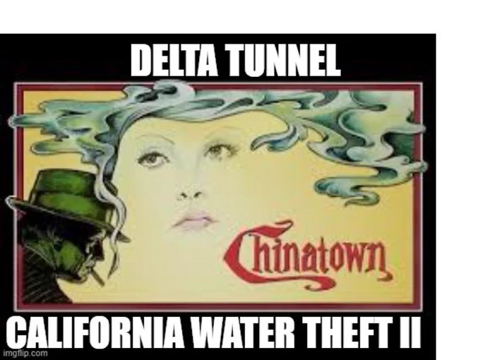 Delta tunnel      Chinatown California water theft II