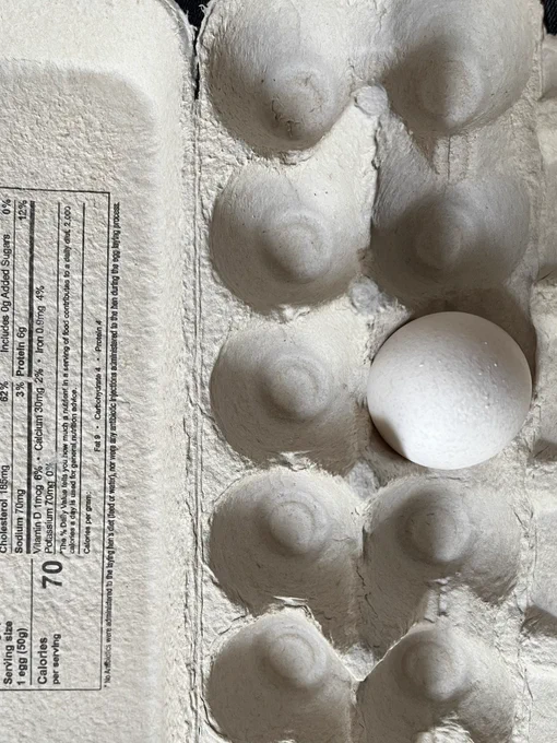 One egg left in a carton