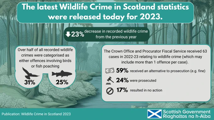 The latest Wildlife Crime in Scotland Statistics were released today for 2023.

There was a 23% decrease in recorded wildlife crime from the previous year.

Over half of all recorded wildlife crimes were categorised as either offences involving birds or fish poaching:
- 31% offences involving birds
- 25% Fish Poaching

The Crown and Procurator Fiscal Service received 63 cases in 2022-23 relating to wildlife crime (which may include more than one offence per case).

- 59% received an alternative to prosecution (e.g. fine)
- 24% were prosecuted
- 17% resulted in no action

Publication: Wildlife Crime In Scotland 2023

Scottish Government
