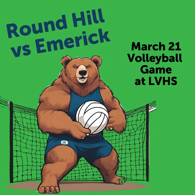 Round Hill Bear is playing Volleyball.