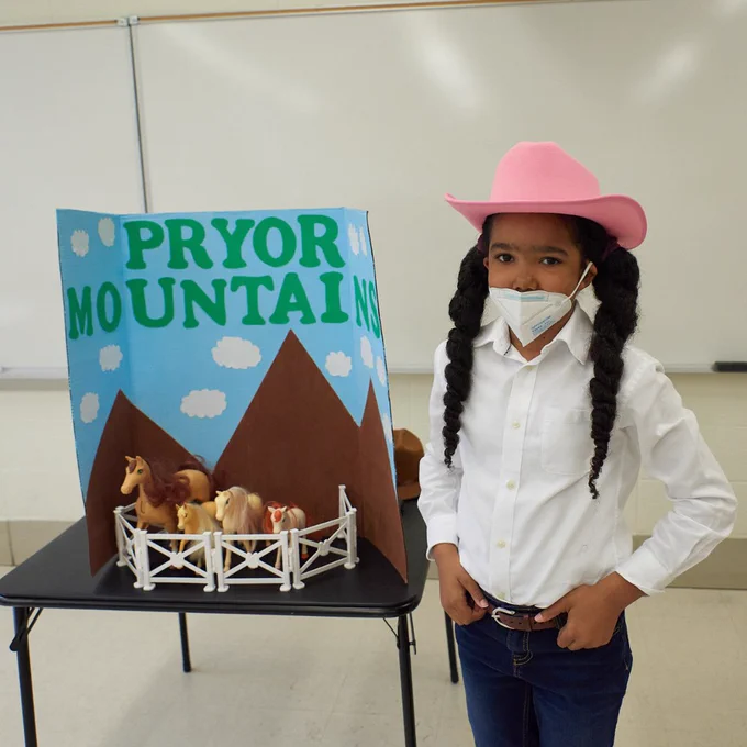 A middle school or small high school girl presents a project. There is a posterboard component that says “Pryor Mountains” with small, fake horses in it. The girl wears a pink cowboy hat, jeans, and a brown belt and holds her hands to her belt like a cowboy. She also wears a facemask to prevent COVID-19.
