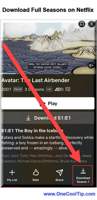 Download Full Seasons on Netflix