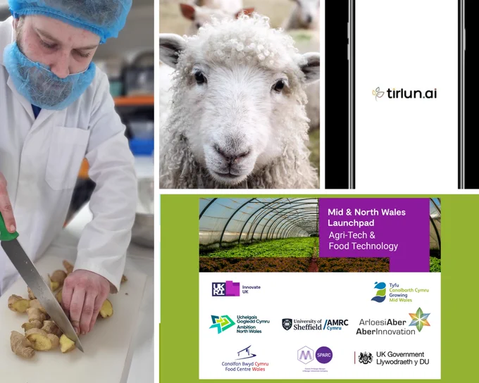 🚀 Exciting innovation from Mid & North Wales! New projects are driving Agri-Tech & Food-Tech advancements, boosting regional skills and sustainability. 🌿 Read more: www.growingmidwales.co.uk/article/17962 #AgriTech #FoodTech #Innovation #GrowingMidWales
@M_SParc @AmbitionNW @FoodCentreWales @innovateuk 