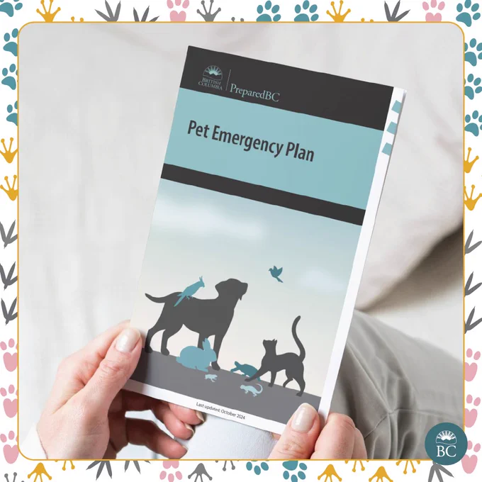 Pet emergency plan booklet in a person's hand