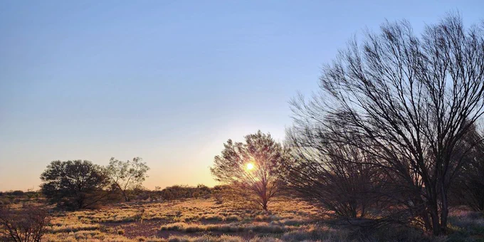 The sun rises over the outback. The sky is a soft blue, the land is golden.