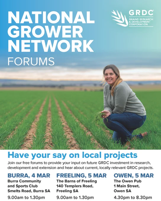 Picture promoting upcoming National Grower Network Forums, Mid North SA. These are in Burra on Tuesday 4 March, 9am-1:30pm, Freeling on Wednesday 5 March, 9am-1:30pm, and Owen on Wednesday 5 March, 4:30pm-8:30pm. Registration is essential: https://www.eventbrite.com/cc/grdc-mid-north-ngn-forums-4068433