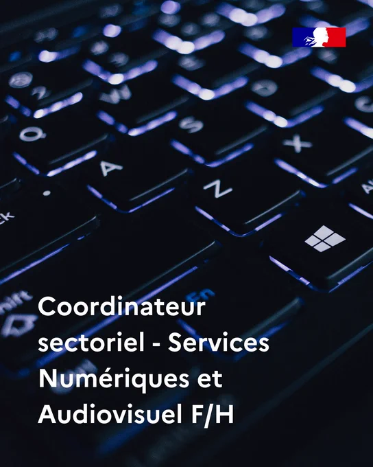 Coordinateur sectoriel - Services Numériques et Audiovisuel F/H