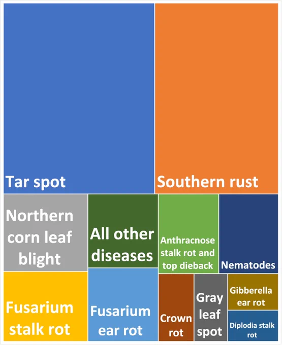 Treemap graphic showing proportion of losses caused by the most important corn diseases. 