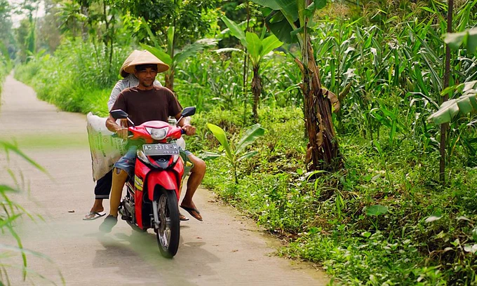 With his well-fitted prosthetic leg and the other support through the RMIT initiative, Painu can tend to his fields and travel to local markets with confidence. Credit: Pusat Rehabilitasi YAKKUM