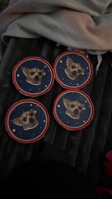 another view of the velcro printed patches of the ProjectNova.gg mascot dog for our rust server