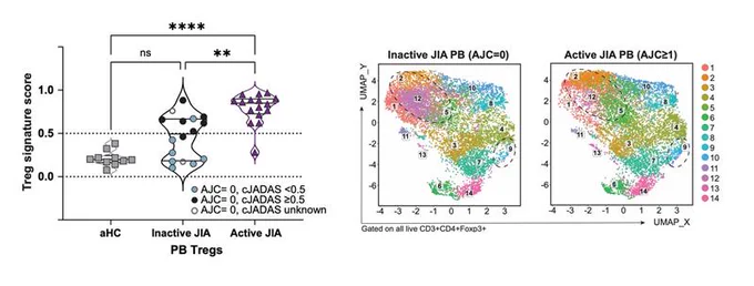 Treg fitness signatures as a biomarker for disease activity in Juvenile Idiopathic Arthritis https://doi.org/10.1016/j.jaut.2025.103379