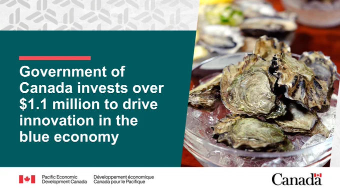 Fresh oysters sit on a bed of ice. Text reads: Government of Canada invests over $1.1 million to drive innovation in the blue economy. 