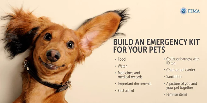 Build an emergency kit for your pets:
Food
Water
Medicines and medical records
Important documents
First aid kit
Collar or harness with ID tag
Crate or pet carrier
Sanitation
A picture of you and your pet together
Familiar items
