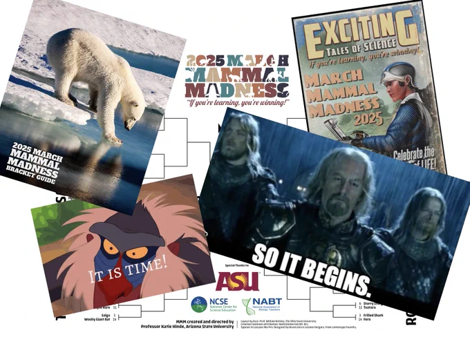 Photo array concealing the 2025 bracket from view- images include "So it begins" for LOTR the Two Towers & Rafiki saying "It is Time" from the Lion King. The bracket guide cover of a polar bear and the pulp magazine cover that says Exciting Tales of Science! 