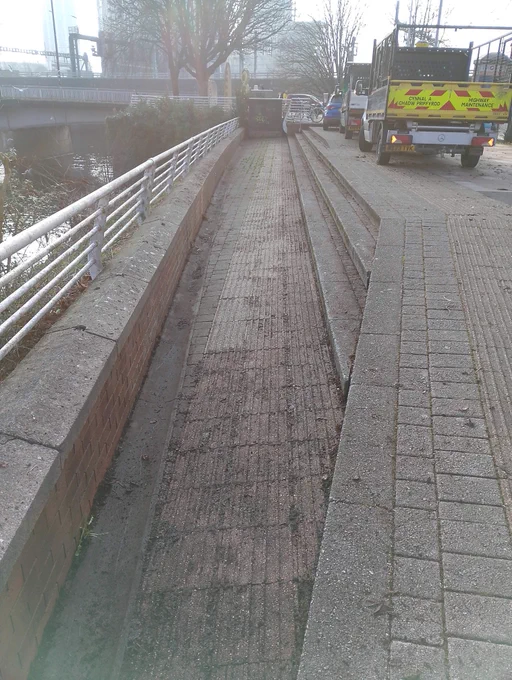 Banks of the Taff after the clean-up.