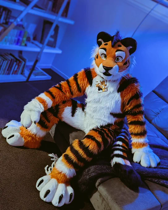 Fang the tiger celebrates his thirteenth birthday. 