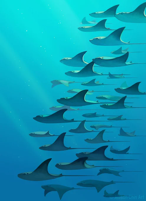 School of cownose rays swimming in a diagonal formation through sunrays in the sea.