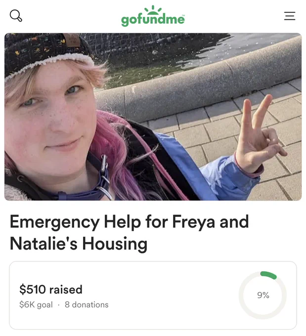 Screenshot of a go fund me page. There is a photo of a person wearing a hat and holding up a peace sign. The text reads, "Emergency Help for Freya and Natalie's Housing" "$510 raised out of $6000 goal"