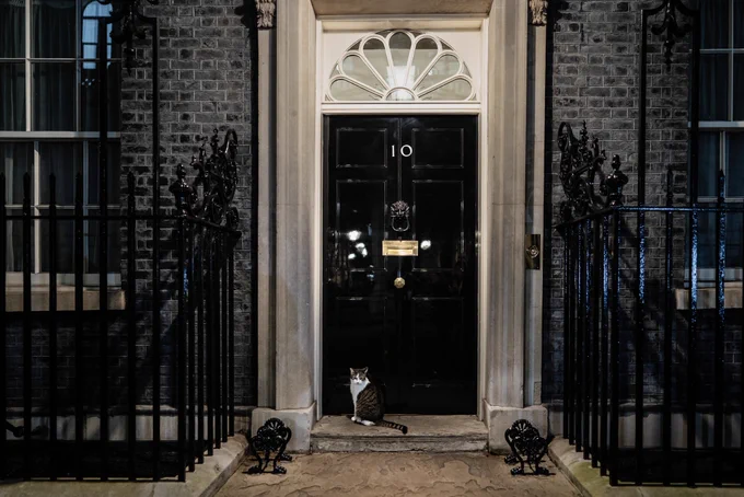 Larry the Cat