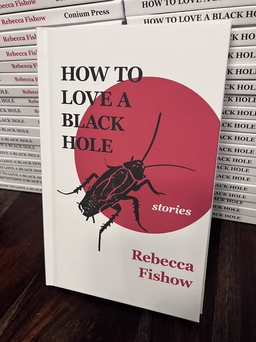 Photo of the short story collection, “How to Love a Black Hole,” by Rebecca Fishow