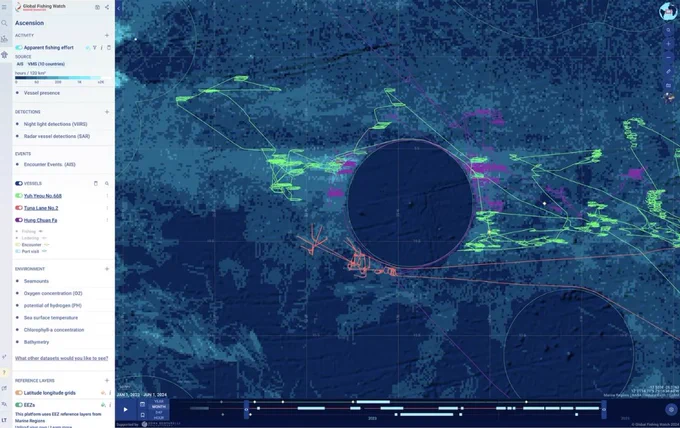 A screenshot of Marine Manager shows vessel tracks near Ascension Island’s exclusive economic zone. © Global Fishing Watch